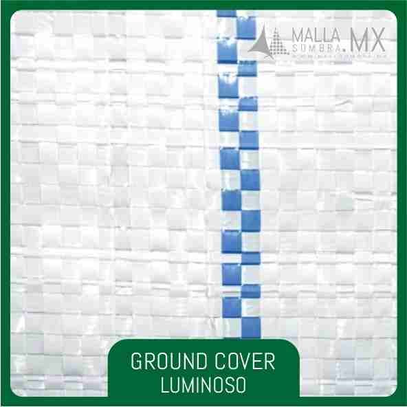 Ground Cover Luminoso - Imagen 4