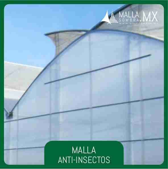 Malla Anti-Insectos 25x25 Mesh - 10x10cm² - Imagen 2