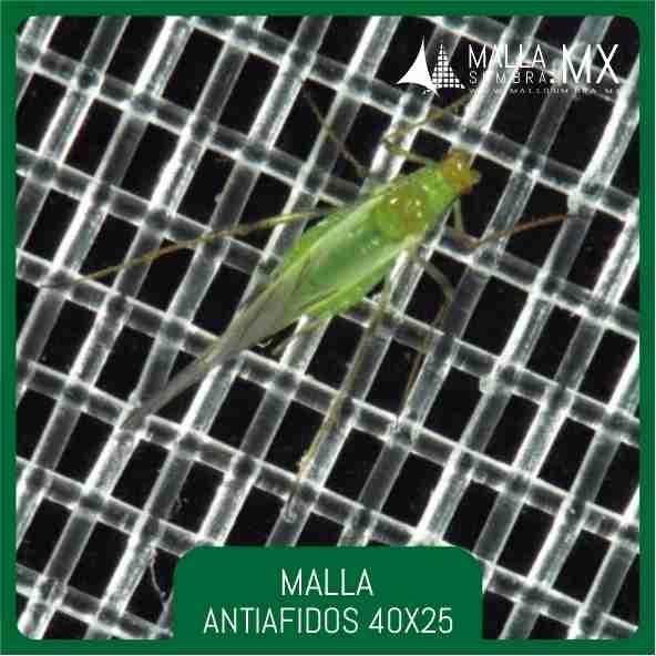 Malla Antiafidos 40x25 Mesh - 16x10cm² - Imagen 4