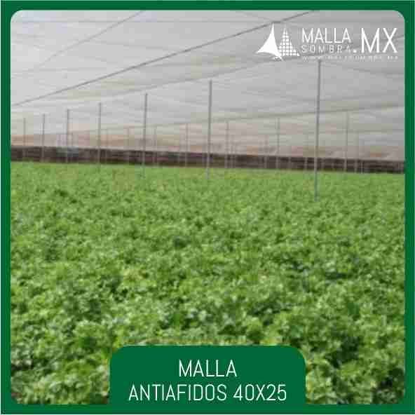 Malla Antiafidos 40x25 Mesh - 16x10cm² - Imagen 2