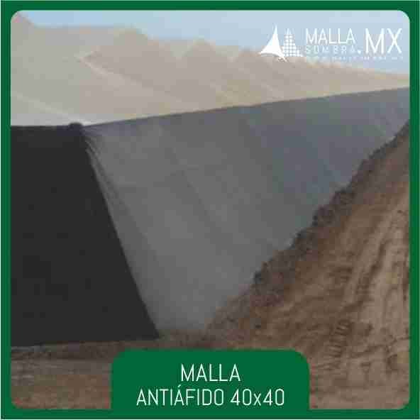 Malla Antiáfido 40x40 Mesh - 16x16cm² - Imagen 3