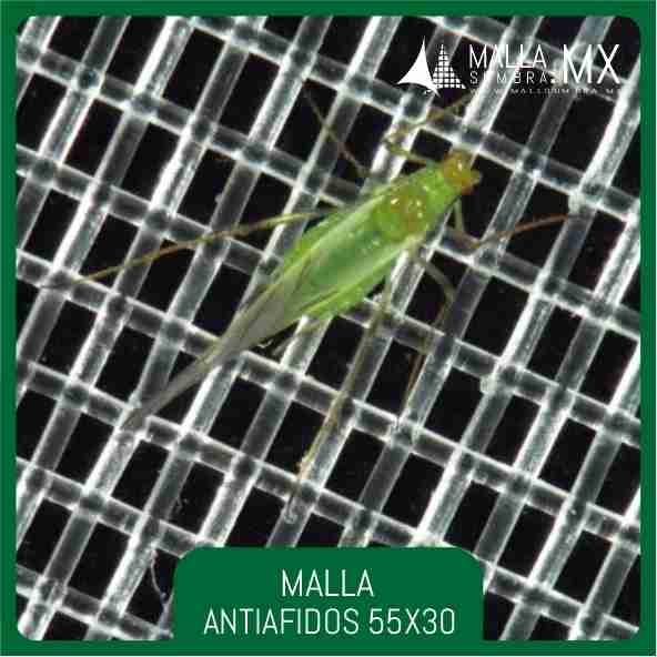Malla Antiafidos 55x30 Mesh - 22x12cm² - Imagen 2