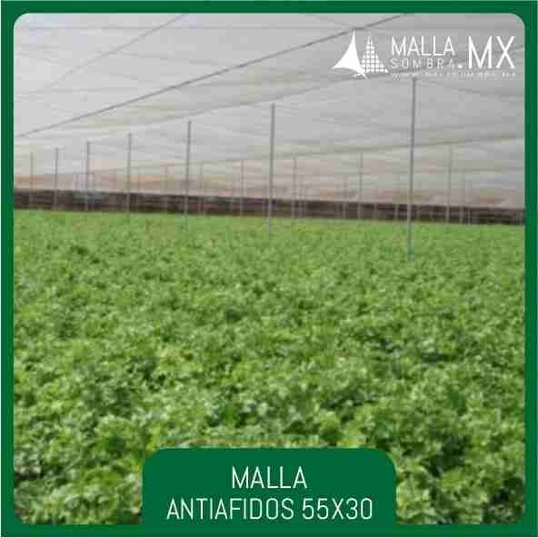 Malla Antiafidos 55x30 Mesh - 22x12cm² - Imagen 3