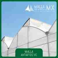 Malla Antiáfido VC (Ventana Cenital)