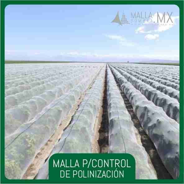 Malla Para Control de Polinización - Imagen 2