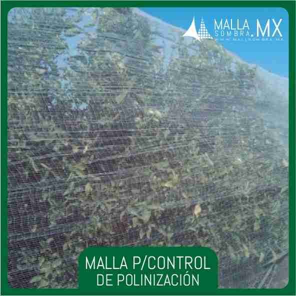 Malla Para Control de Polinización - Imagen 3