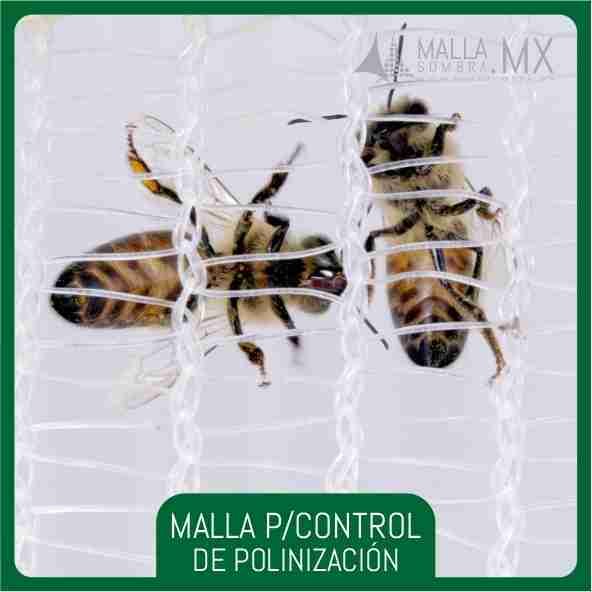Malla Para Control de Polinización
