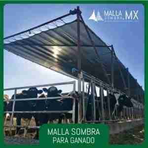 Malla Sombra para Ganado