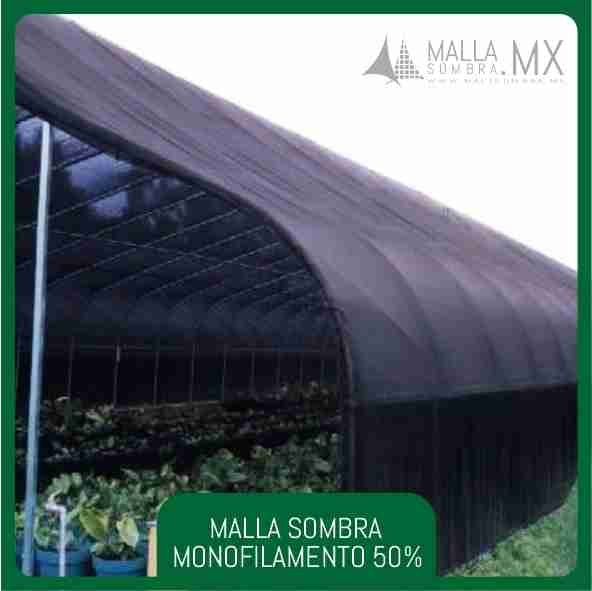 50% Malla Sombra Monofilamento - Imagen 3