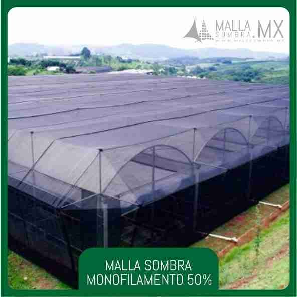 50% Malla Sombra Monofilamento - Imagen 2