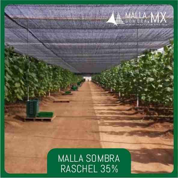 35% Malla Sombra Raschel - Imagen 3